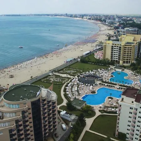 Amadeus Xv 44 Sunny Centum 써니비치